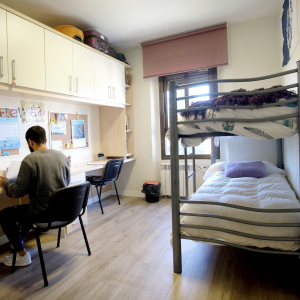 Habitación doble. Aseo y litera