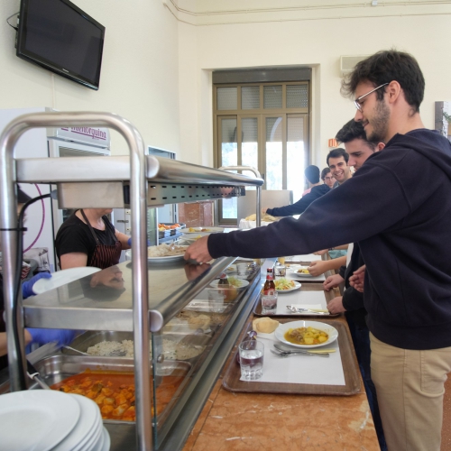 Servicio de Comedor