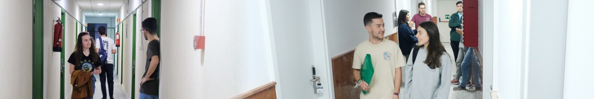 Habitaciones y zonas comunes